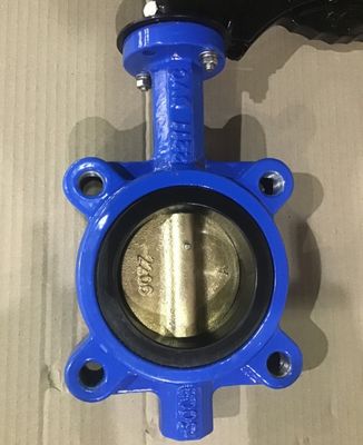 Customizable DN600 DI CI Body SS Disc Lug Sewage Butterfly Valve for Various Industries