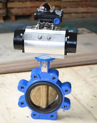Customizable DN600 DI CI Body SS Disc Lug Sewage Butterfly Valve for Various Industries