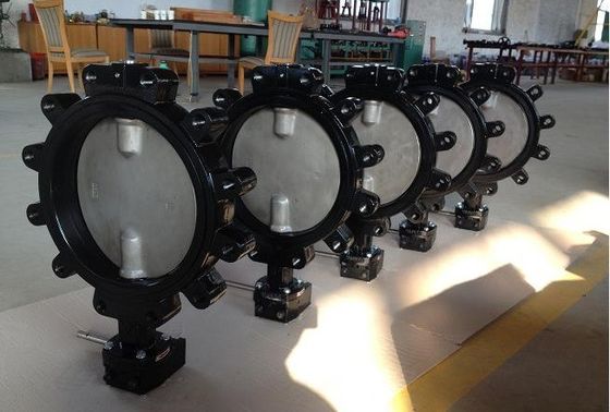 Customizable DN600 DI CI Body SS Disc Lug Sewage Butterfly Valve for Various Industries