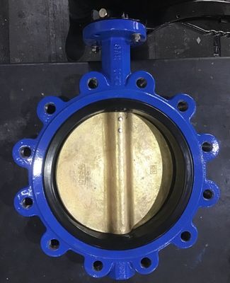 Customized Cast Iron Lever Treated Wafer Lug Concentric Butterfly Valve for Standards