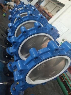 Customized Cast Iron Lever Treated Wafer Lug Concentric Butterfly Valve for Standards