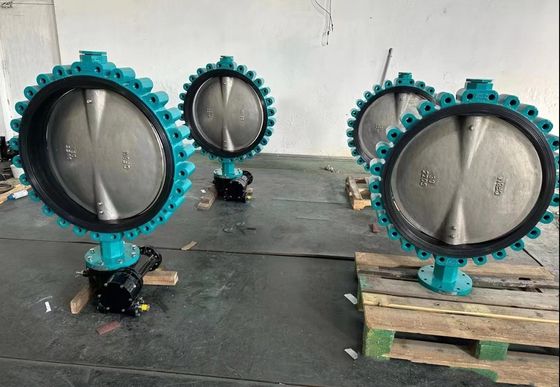 Customized DN300 Cast Ductile Iron Carbon Steel Fully Lug Wafer Type Butterfly Valve