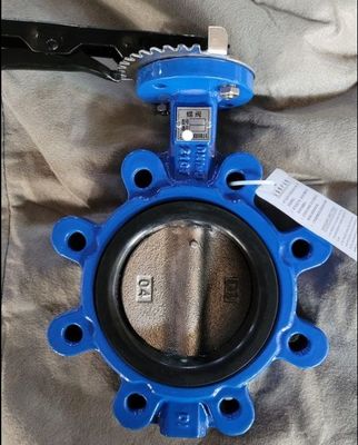 Customized Service and ODM Lug Type Butterfly Valve with Hand Lever