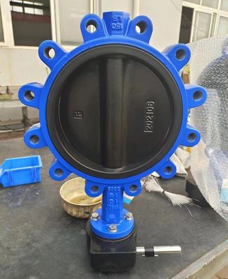 Customized Service and ODM Lug Type Butterfly Valve with Hand Lever