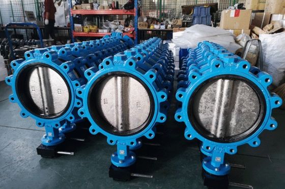 Customized Service and ODM Lug Type Butterfly Valve with Hand Lever
