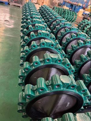 Customized Service and ODM Lug Type Butterfly Valve with Hand Lever