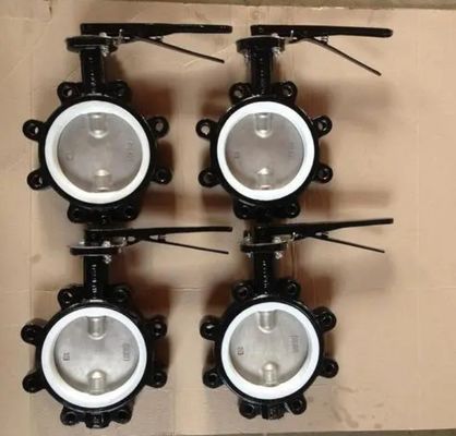 OEM Supported PN10/16 Cast Iron Lug Type Butterfly Valve with Customized Service