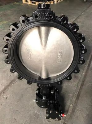 OEM Supported PN10/16 Cast Iron Lug Type Butterfly Valve with Customized Service