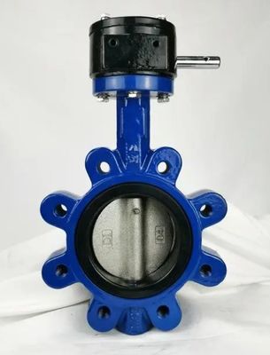 OEM Supported PN10/16 Cast Iron Lug Type Butterfly Valve with Customized Service