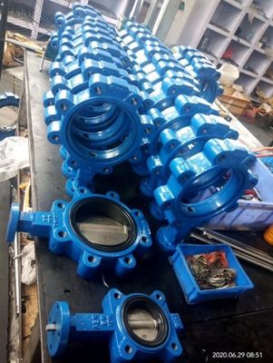 OEM Supported PN10/16 Cast Iron Lug Type Butterfly Valve with Customized Service