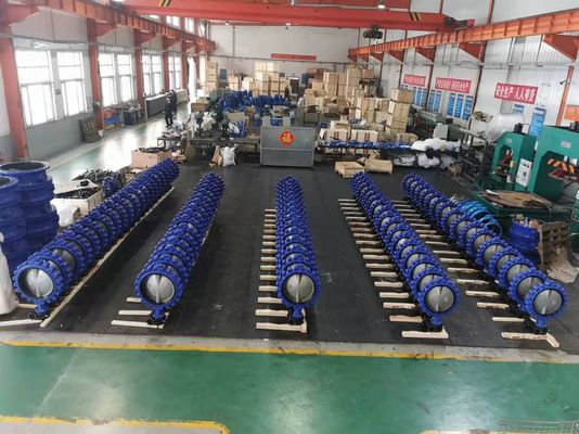 Water Media Sanitary Stainless Steel CF8 WCB Ductile Iron Tapped Fully Lug Butterfly Valve