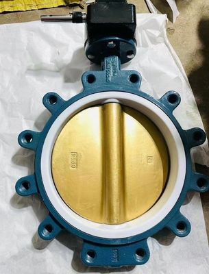 Customized Service Standard Ductile Iron Lug Type Butterfly Valve