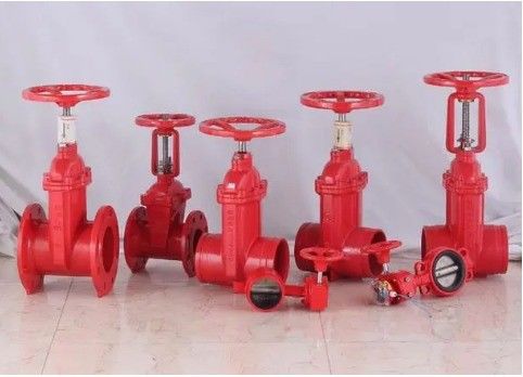 CUSTOMIZED Port Size DN150 1.6Mpa Non Rising Stem Gate Valve Standard