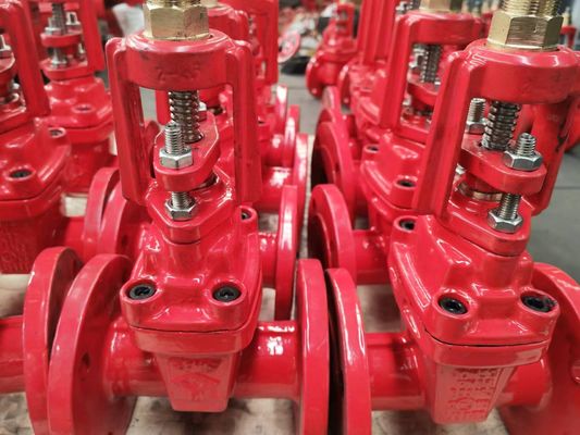 CUSTOMIZED Port Size DN150 1.6Mpa Non Rising Stem Gate Valve Standard