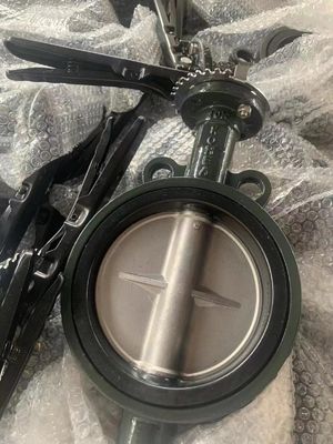 Water Media Wafer Butterfly Valve DK JIS 10K 5K Korea Type with CF8 Disc EPDM Seal