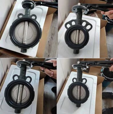 Water Media Wafer Butterfly Valve DK JIS 10K 5K Korea Type with CF8 Disc EPDM Seal