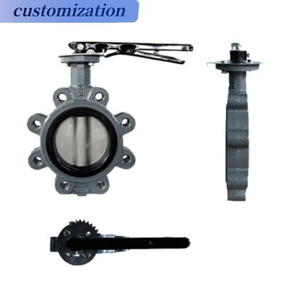 ODM Supported Lug Butterfly Valve with Electrical EPDM Seal and Customized Port Size