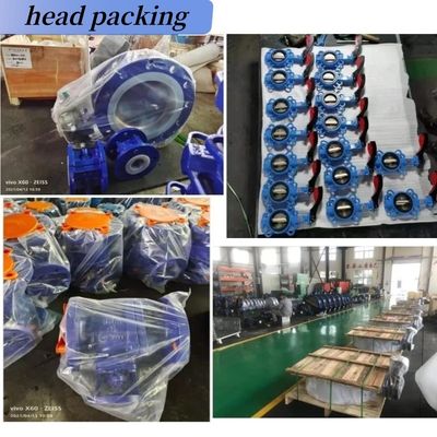 ODM Supported Lug Butterfly Valve with Electrical EPDM Seal and Customized Port Size