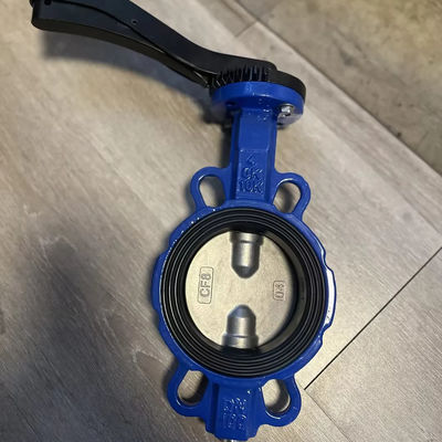 1 Inch Sanitary Stainless Steel Pneumatic Butterfly Valve with Customized Structure
