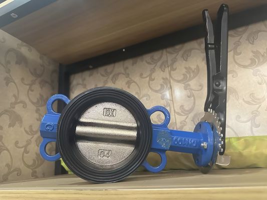 1 Inch Sanitary Stainless Steel Pneumatic Butterfly Valve with Customized Structure