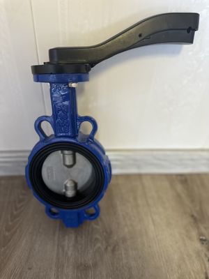 Stainless Steel Butterfly Valve for FMC Lug Type Customized and Supported by OEM Support