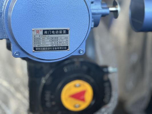 Customized Service SS304 Stainless Steel Sanitary Butterfly Valve with Hand Lever