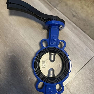 18 Inch Butterfly Valve Wafer Type Dual Plate Check with Customized Service and Support