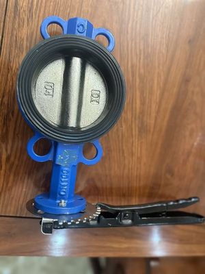 18 Inch Butterfly Valve Wafer Type Dual Plate Check with Customized Service and Support