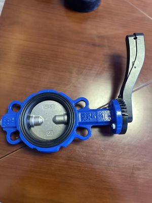 18 Inch Butterfly Valve Wafer Type Dual Plate Check with Customized Service and Support