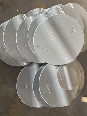 18 Inch Butterfly Valve Wafer Type Dual Plate Check with Customized Service and Support