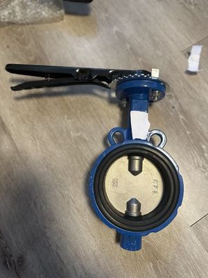 Customized Service Manual Butterfly Valve for OEM Ductile Iron Flange Lug Wafer Type