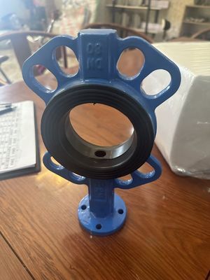 Customized Service Manual Butterfly Valve for OEM Ductile Iron Flange Lug Wafer Type
