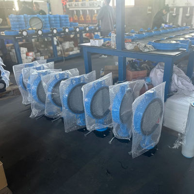 OEM Port Size Cast Iron Extension Butterfly Valve with Supportive After-sales Service