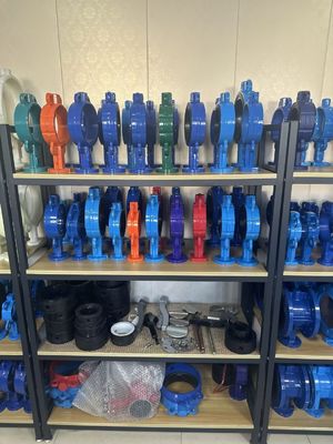 OEM Port Size Cast Iron Extension Butterfly Valve with Supportive After-sales Service