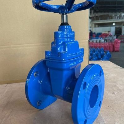 Customized Port Size Gate Valve Flanged Resilient Seated for Mining Applications