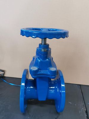Water Media DN600 PPR Fitting Gate Valve with OEM Flexibility Offered