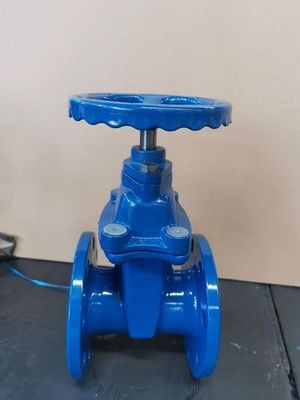 Water Media DN600 PPR Fitting Gate Valve with OEM Flexibility Offered