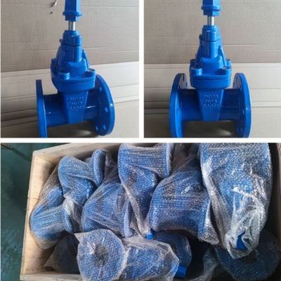 18 Inch Pneumatic Gate Valve with Customized Port Size and Corrosion Resistance