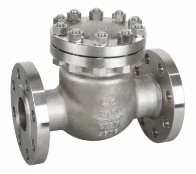 Newest Design Metal Swing Check Valves and Fitting with After-sales Service Support