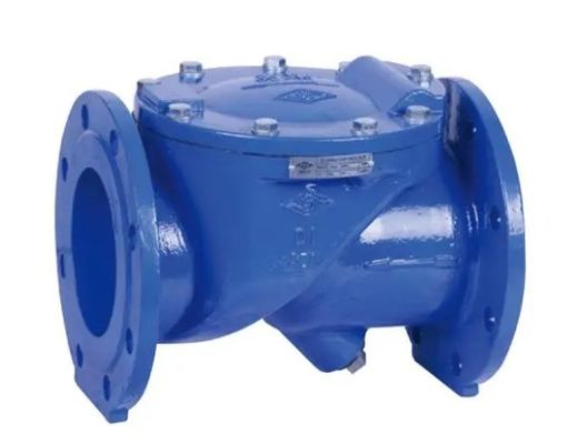 Medium Temperature DN100 Pn16 Asin Cast Iron Rubber Flapper Check Valve for OEM Support