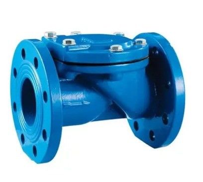 Medium Temperature DN100 Pn16 Asin Cast Iron Rubber Flapper Check Valve for OEM Support