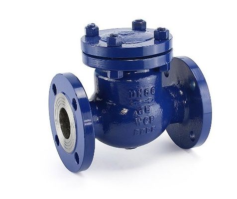 High Temperature Swing Check Valve Dn 600 Cf8m with ODM Customized Manufacturing