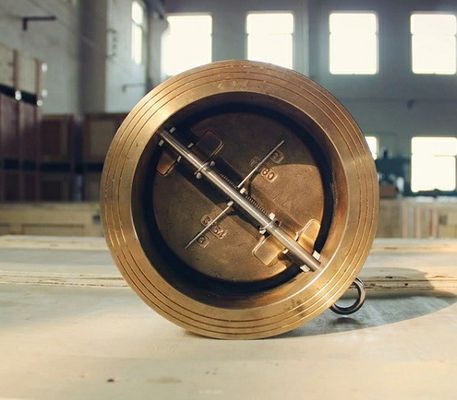 Stainless Steel/Cast Iron/Cast Steel Dual Plate Check Valve with Diaphragm Structure