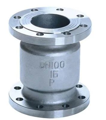 Stainless Steel Ductile Iron Globe Swing Check Valve for Gas Media Handling Solutions
