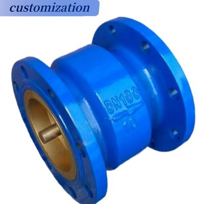 Stainless Steel Ductile Iron Globe Swing Check Valve for Gas Media Handling Solutions