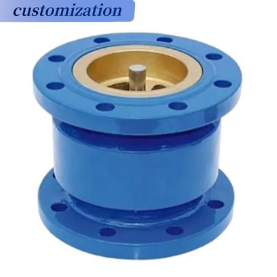 Stainless Steel Ductile Iron Globe Swing Check Valve for Gas Media Handling Solutions