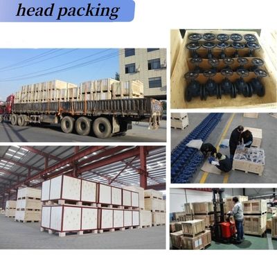 Stainless Steel Ductile Iron Globe Swing Check Valve for Gas Media Handling Solutions