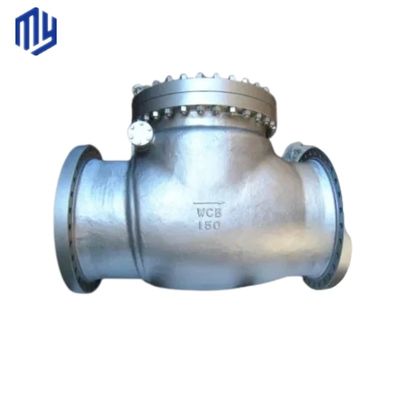 Complete Certificate Wafer Type Swing Check Valve for General and Drain Function