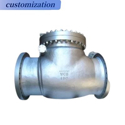 Complete Certificate Wafer Type Swing Check Valve for General and Drain Function