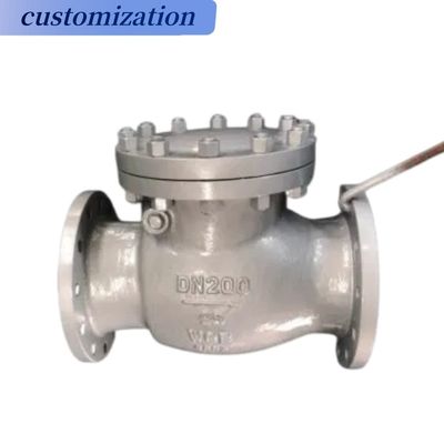 Complete Certificate Wafer Type Swing Check Valve for General and Drain Function